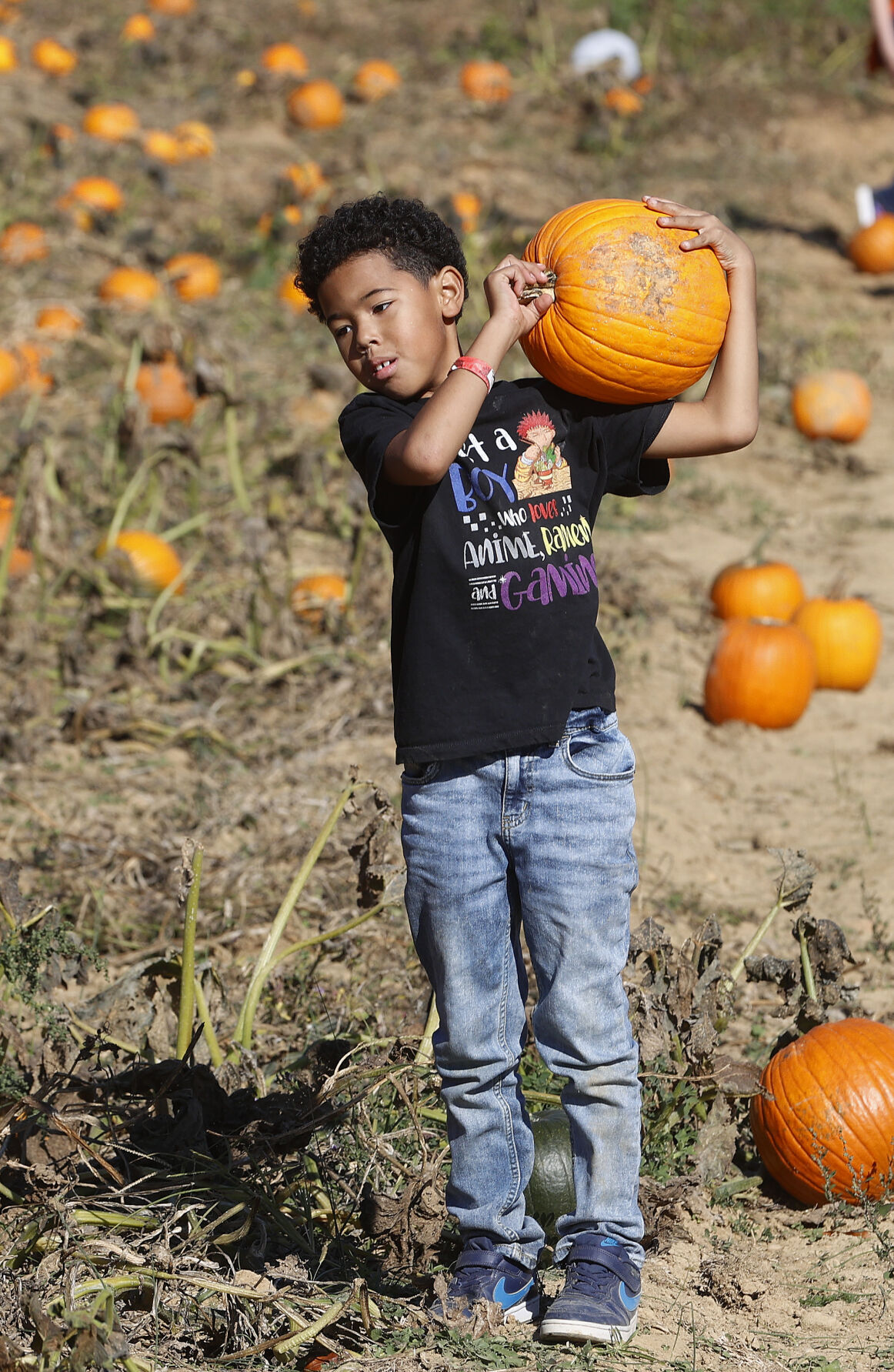 20221023_MET_PUMPKIN_AWE06